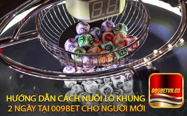 Hướng dẫn cách nuôi lô khung 2 ngày tại 009bet cho người mới