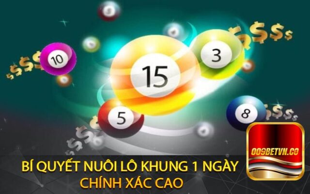 Bí quyết Nuôi lô khung 1 ngày chính xác cao